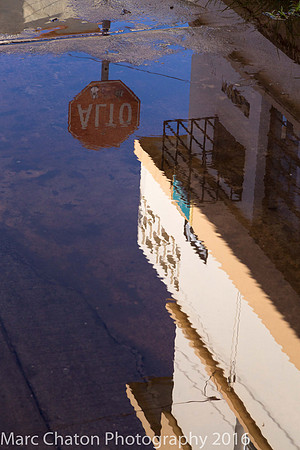 Reflections in Puddle III