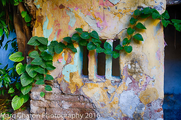 Mazatlan Ruins & Vine I