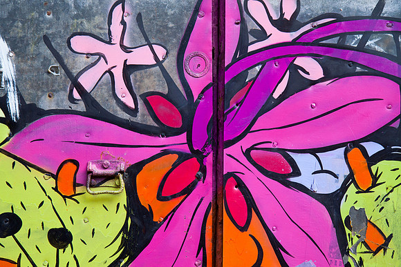 Graffiti Door I