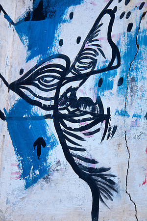Mazatlan Wall Graffiti I