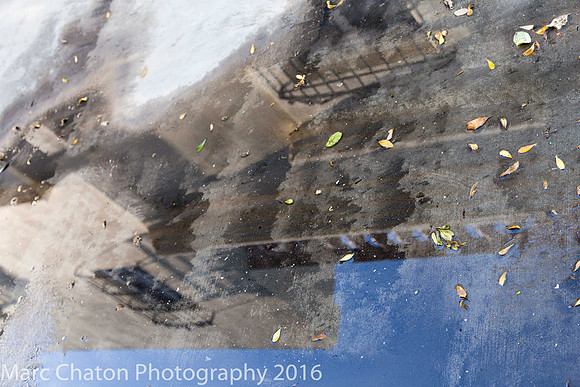 Mazatlan Reflections I