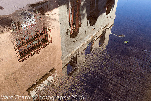 Mazatlan Reflections V