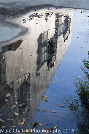 Reflections in Puddle IV