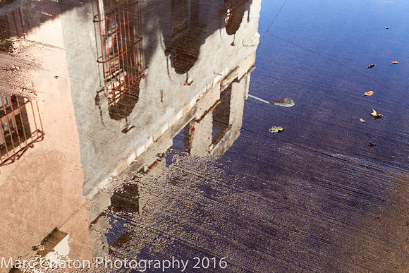 Reflections in Puddle II