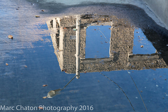 Mazatlan Reflections II